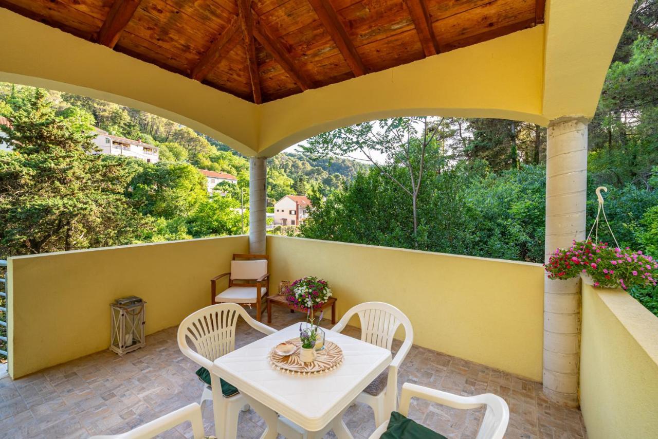 Apartments Maris Novigrad  Exterior photo