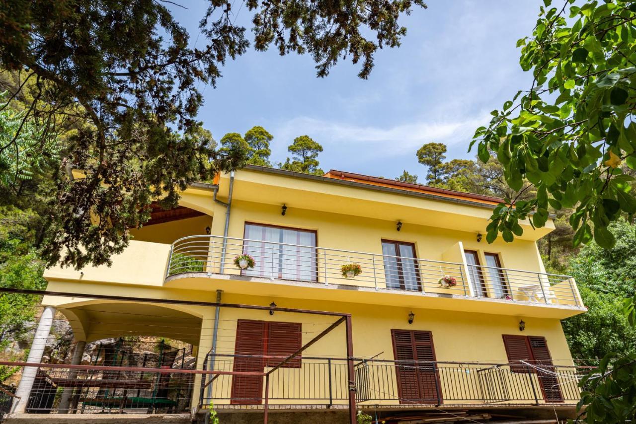 Apartments Maris Novigrad  Exterior photo
